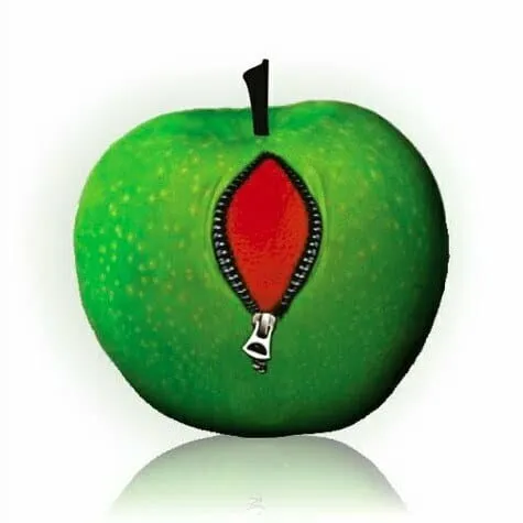 Agujas de la serie 300 Dolphin Sutures