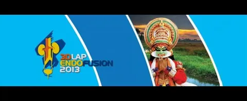 3D LAP ENDOFUSION 2013