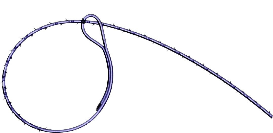 sutura con púas 1 Dolphin Sutures
