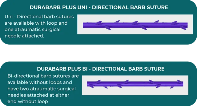 Sutures Crantées Antibactériennes en Polydioxanone