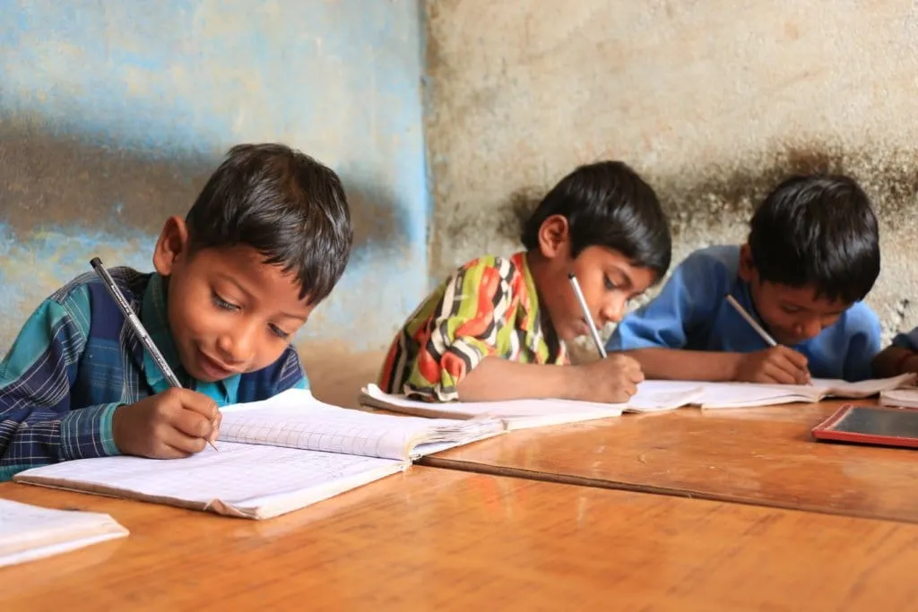 Educación infantil Dolphin Sutures