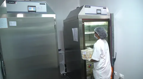 Sampel uji sterilitas yang sedang dimasukkan ke dalam inkubator
