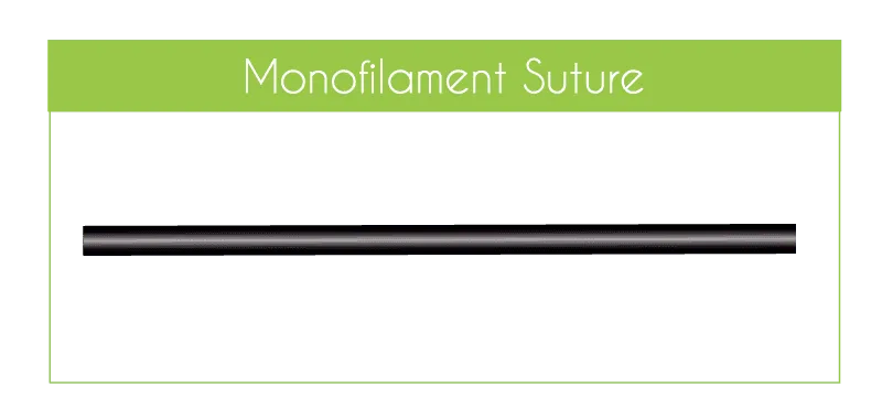 Monofilament suture