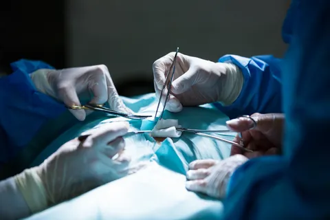 Why Dolphin Surgical Mesh is an Ideal Choice for Modern Hernia Repair Procedures